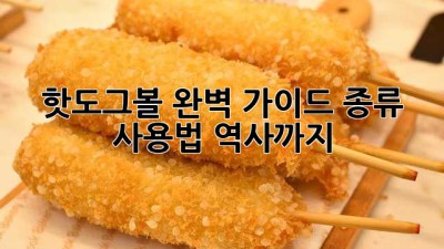 핫도그볼 완벽 가이드: 종류, 사용법, 역사까지!