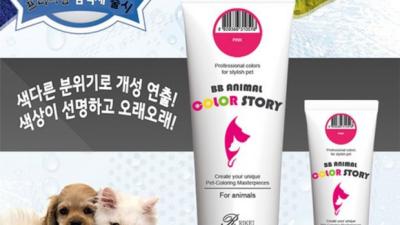 ✨리케이칼라스토리✨ 솔직 후기! 안 사면 손해?🤫 (꿀팁 대방출)